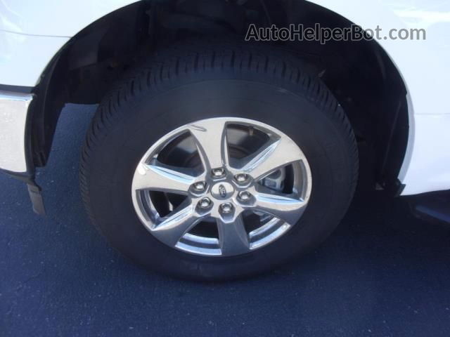 2019 Ford F-150 Xl/xlt White vin: 1FTEW1CB8KKD52497