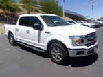 2019 Ford F-150 Xl/xlt White vin: 1FTEW1CB8KKD52497