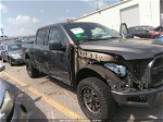 2017 Ford F-150 Xlt Gray vin: 1FTEW1CGXHKD45667