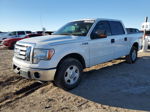 2011 Ford F150 Supercrew White vin: 1FTEW1CM0BFB91508