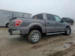 2014 Ford F150 Supercrew Gray vin: 1FTEW1CM1EFB50275