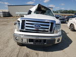 2011 Ford F150 Supercrew White vin: 1FTEW1CM2BFB58767