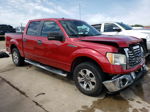 2011 Ford F150 Supercrew Red vin: 1FTEW1CM7BFB70252