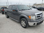 2014 Ford F150 Supercrew Gray vin: 1FTEW1CM7EFA19433