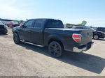 2014 Ford F-150 Xlt Black vin: 1FTEW1CM7EFB68862