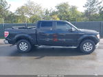 2014 Ford F-150 Xlt Black vin: 1FTEW1CM8EFA45331