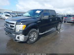 2014 Ford F-150 Xlt Black vin: 1FTEW1CM8EFA45331