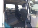 2019 Ford F-150 Xl White vin: 1FTEW1CP0KKE46921