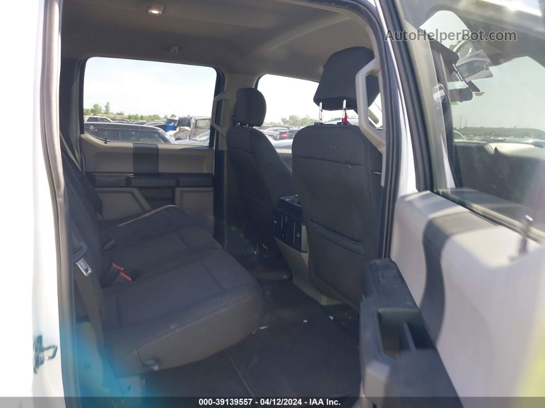 2019 Ford F-150 Xl White vin: 1FTEW1CP0KKE46921