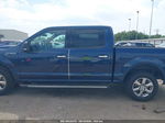 2019 Ford F-150 Xlt Blue vin: 1FTEW1CP3KKC02616