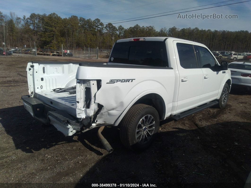 2019 Ford F-150 Xlt White vin: 1FTEW1CP4KFA51293