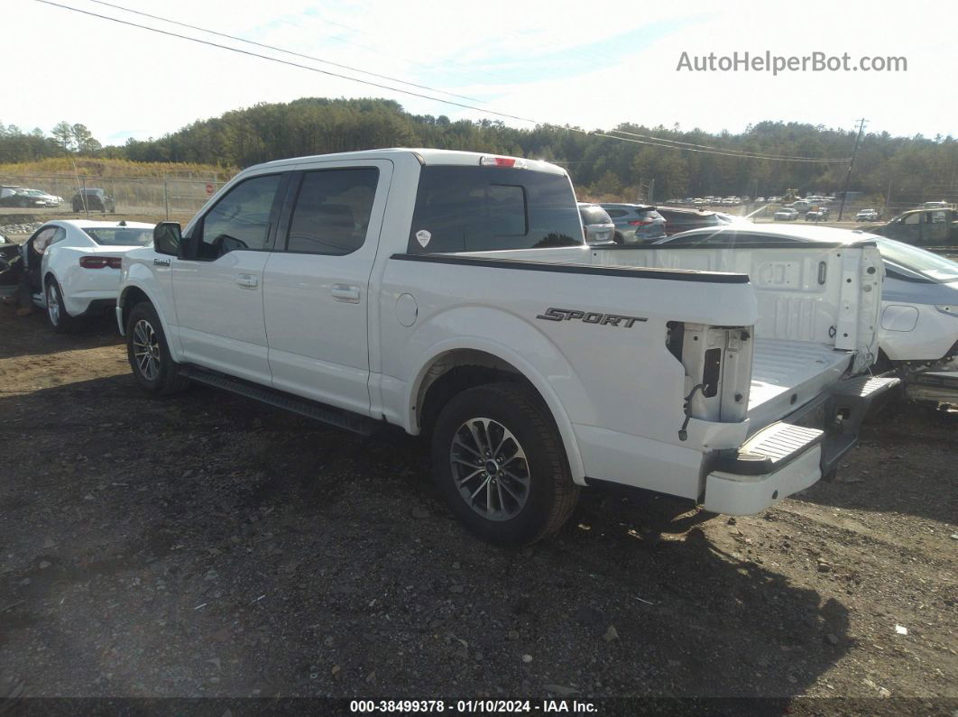 2019 Ford F-150 Xlt White vin: 1FTEW1CP4KFA51293