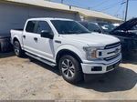 2019 Ford F-150 Xl White vin: 1FTEW1CP4KKD23851