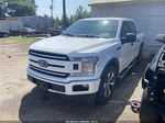 2019 Ford F-150 Xl White vin: 1FTEW1CP4KKD23851