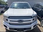 2019 Ford F-150 Xl White vin: 1FTEW1CP4KKD23851