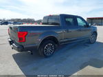 2019 Ford F-150 Xlt Gray vin: 1FTEW1CP7KFB12250