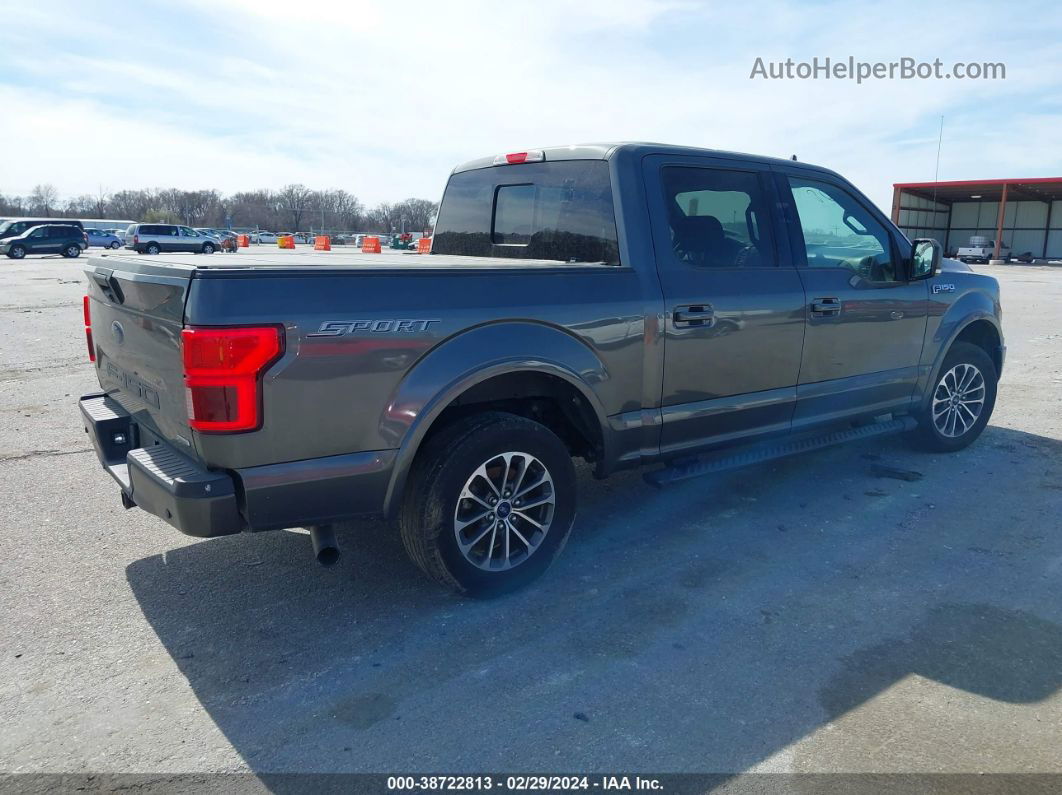 2019 Ford F-150 Xlt Gray vin: 1FTEW1CP7KFB12250