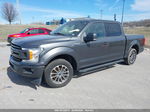 2019 Ford F-150 Xlt Gray vin: 1FTEW1CP7KFB12250