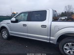 2019 Ford F-150 Xl Silver vin: 1FTEW1CP8KFD30424