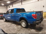 2010 Ford F-150 Xl Blue vin: 1FTEW1CWXAFB90723