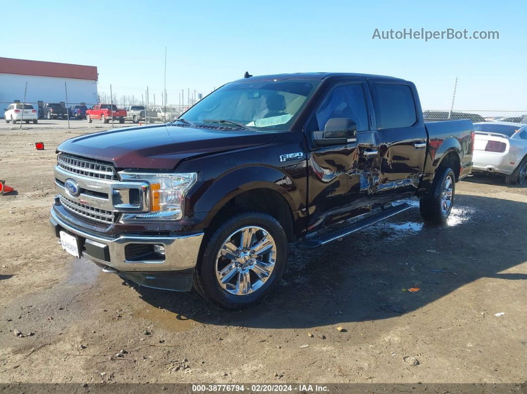 2019 Ford F-150 Xlt Black vin: 1FTEW1E40KKE28843