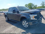 2019 Ford F-150 Xlt Gray vin: 1FTEW1E41KFC98435