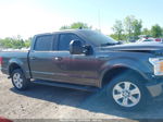 2019 Ford F-150 Xlt Gray vin: 1FTEW1E41KFC98435