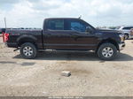 2019 Ford F-150 Xlt Burgundy vin: 1FTEW1E47KKF01013