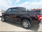 2019 Ford F-150 Xlt Burgundy vin: 1FTEW1E47KKF01013