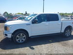 2019 Ford F-150 Xlt Белый vin: 1FTEW1E49KFD54265