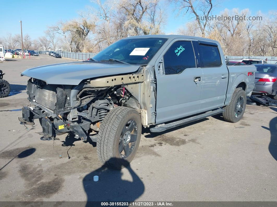 2019 Ford F-150 Xlt Gray vin: 1FTEW1E52KFB00647