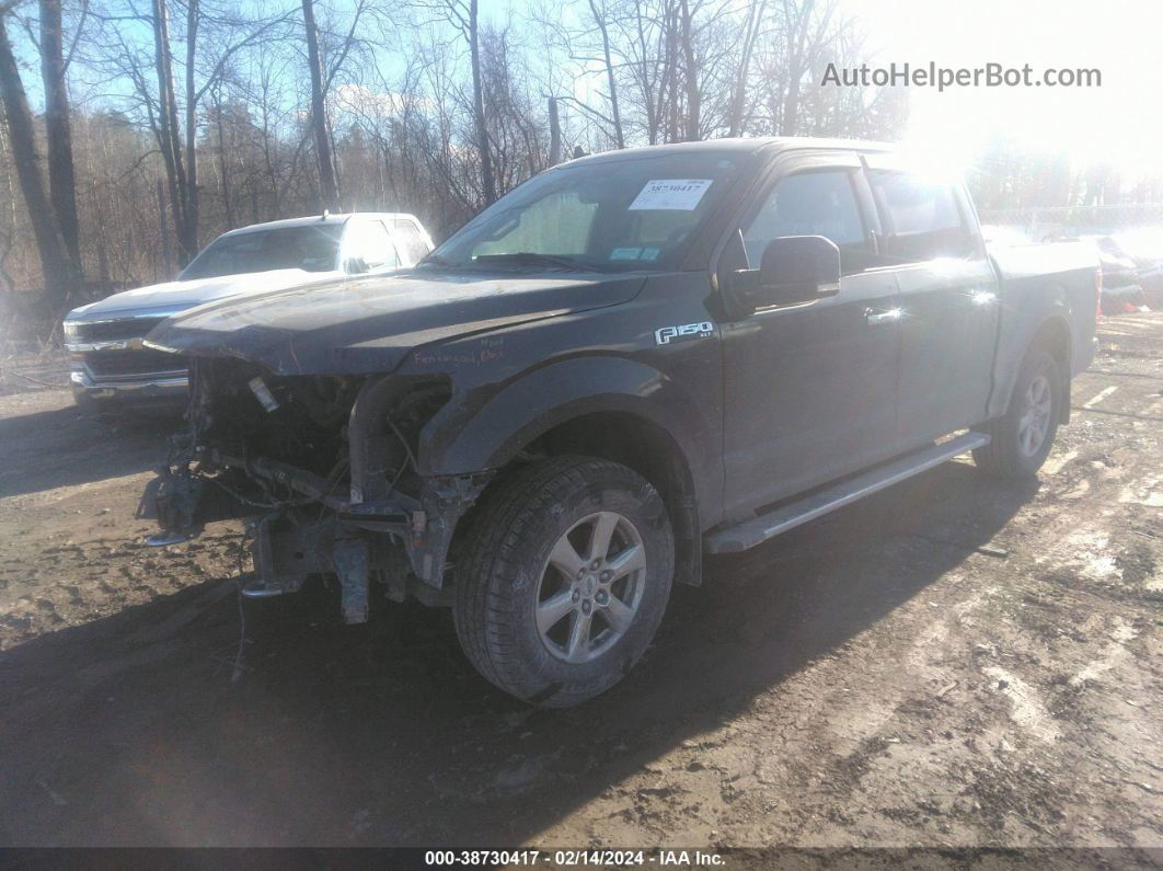 2019 Ford F-150 Xlt Brown vin: 1FTEW1E53KFA03750