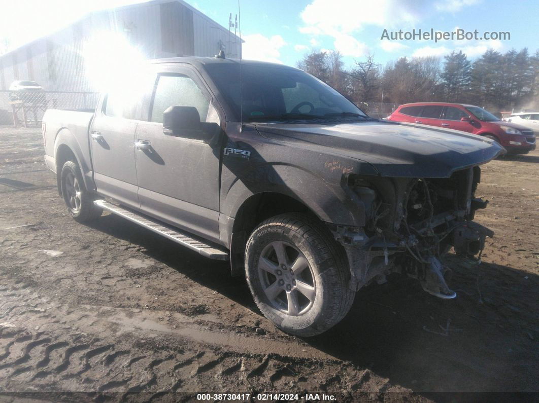 2019 Ford F-150 Xlt Brown vin: 1FTEW1E53KFA03750