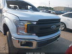 2019 Ford F-150 Xl White vin: 1FTEW1E53KFB58654