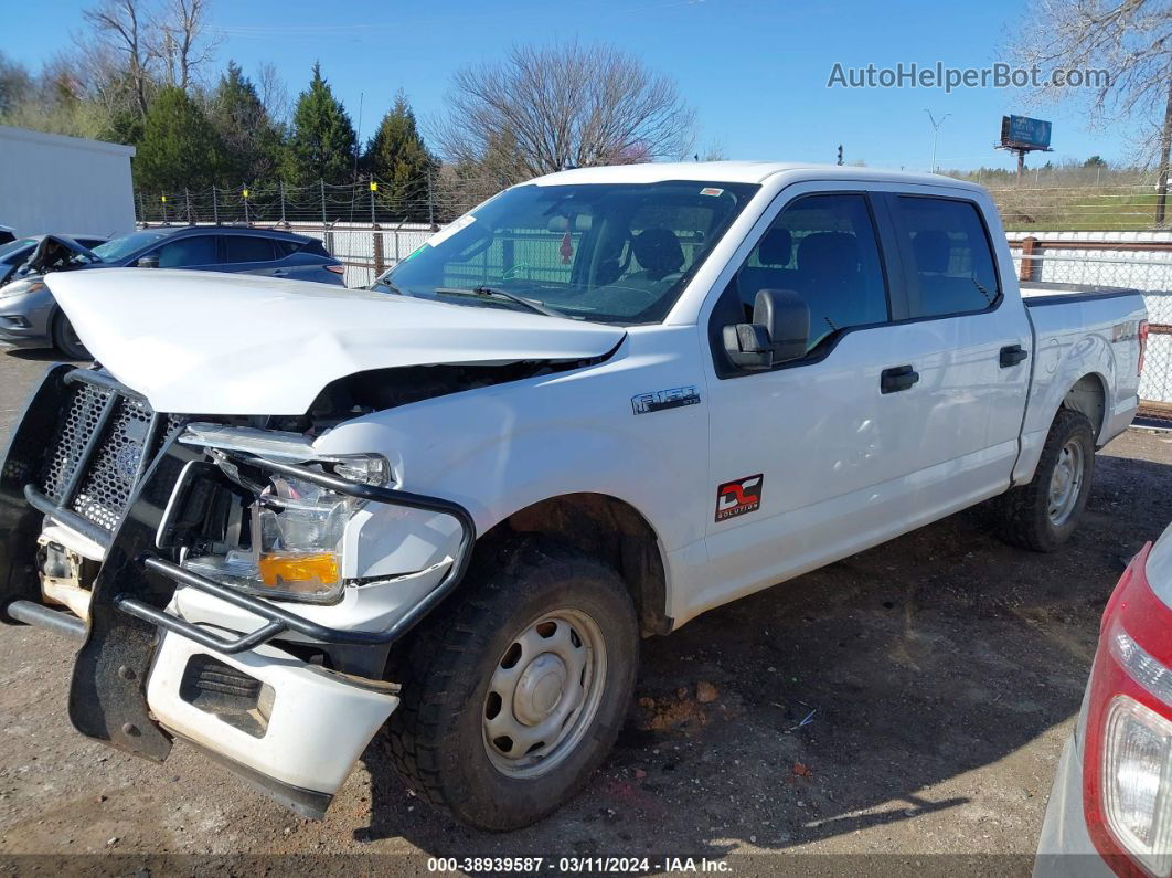 2019 Ford F-150 Xl White vin: 1FTEW1E53KKC76243