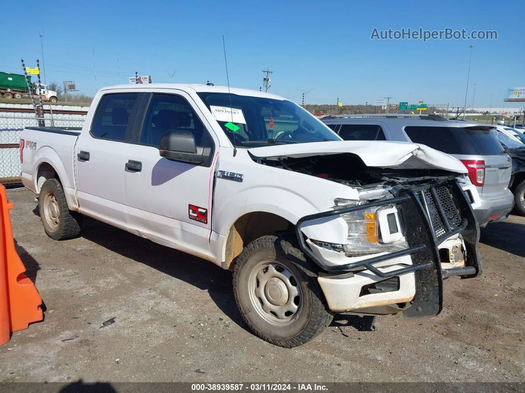 2019 Ford F-150 Xl White vin: 1FTEW1E53KKC76243