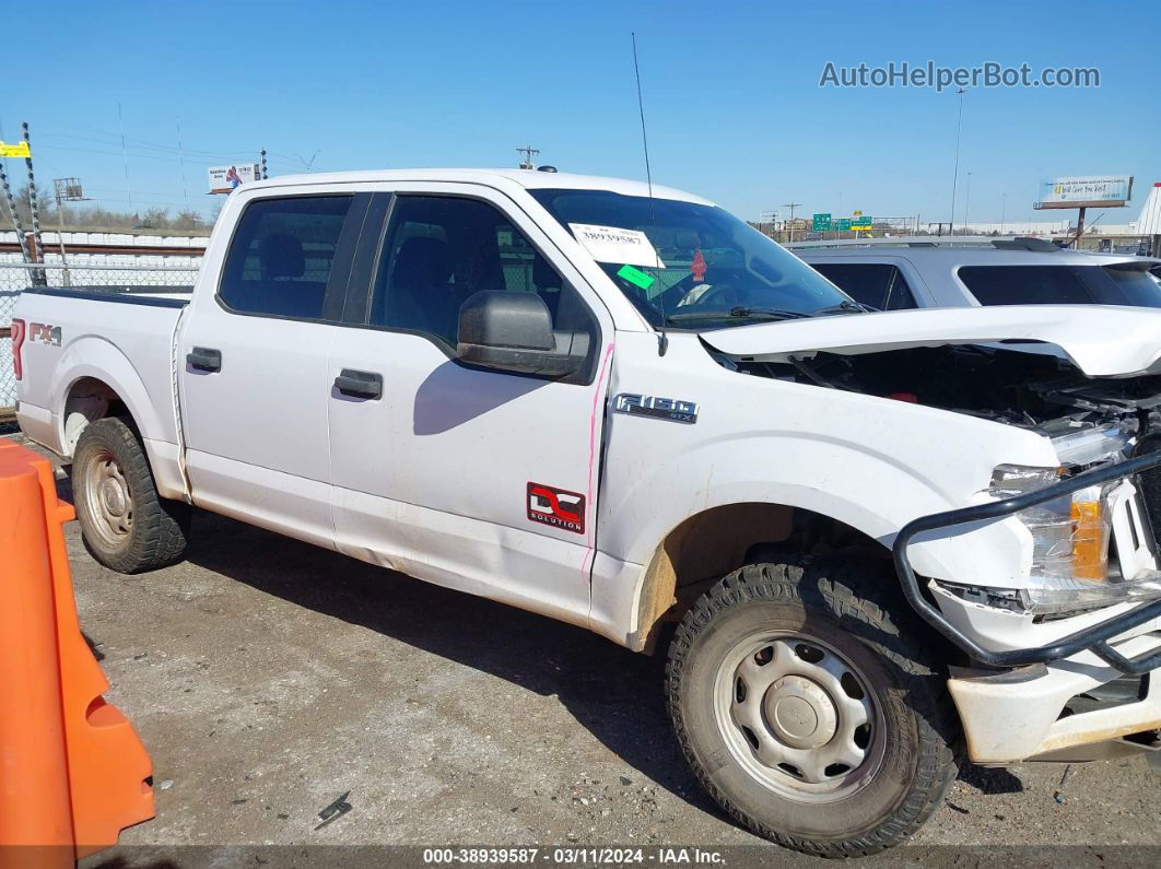 2019 Ford F-150 Xl White vin: 1FTEW1E53KKC76243