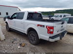 2019 Ford F-150 Xlt White vin: 1FTEW1E53KKE44656