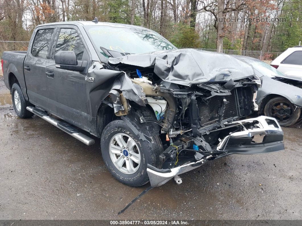 2019 Ford F-150 Xlt Gray vin: 1FTEW1E54KFC48671