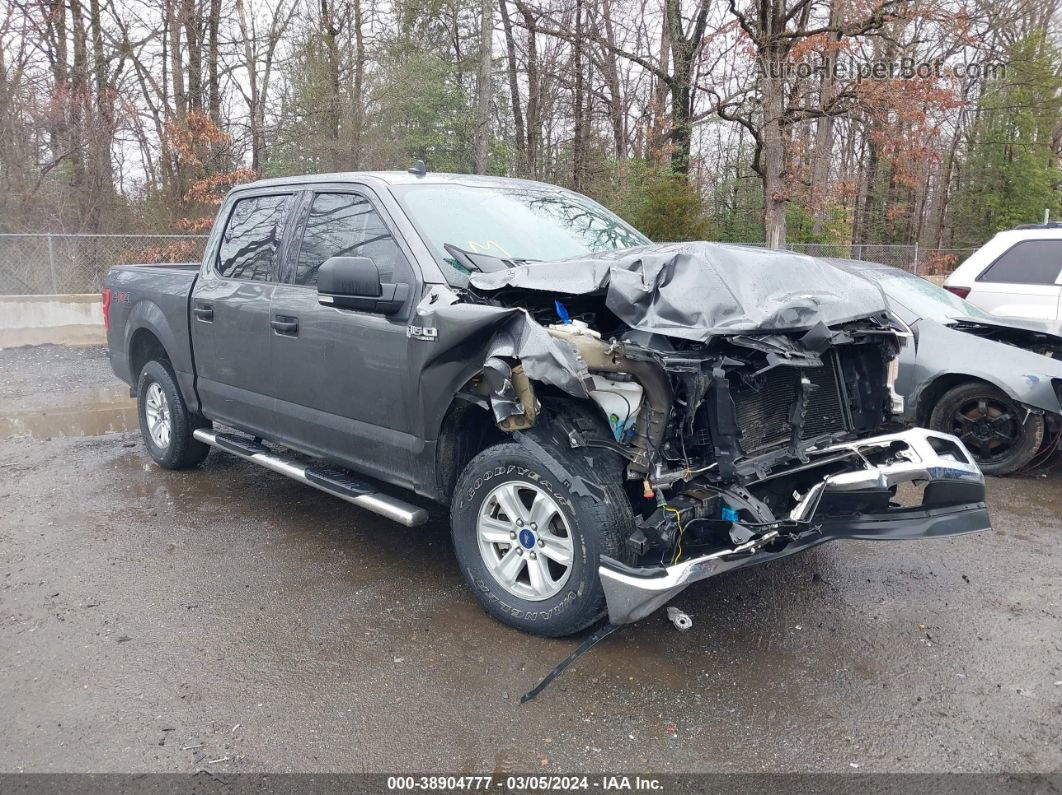 2019 Ford F-150 Xlt Gray vin: 1FTEW1E54KFC48671