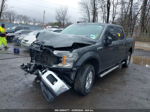 2019 Ford F-150 Xlt Gray vin: 1FTEW1E54KFC48671