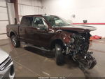 2019 Ford F-150 Xlt Maroon vin: 1FTEW1E55KKE05406