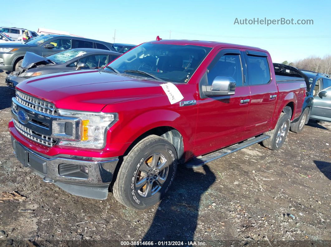 2018 Ford F-150 Xlt Red vin: 1FTEW1E56JKE63393