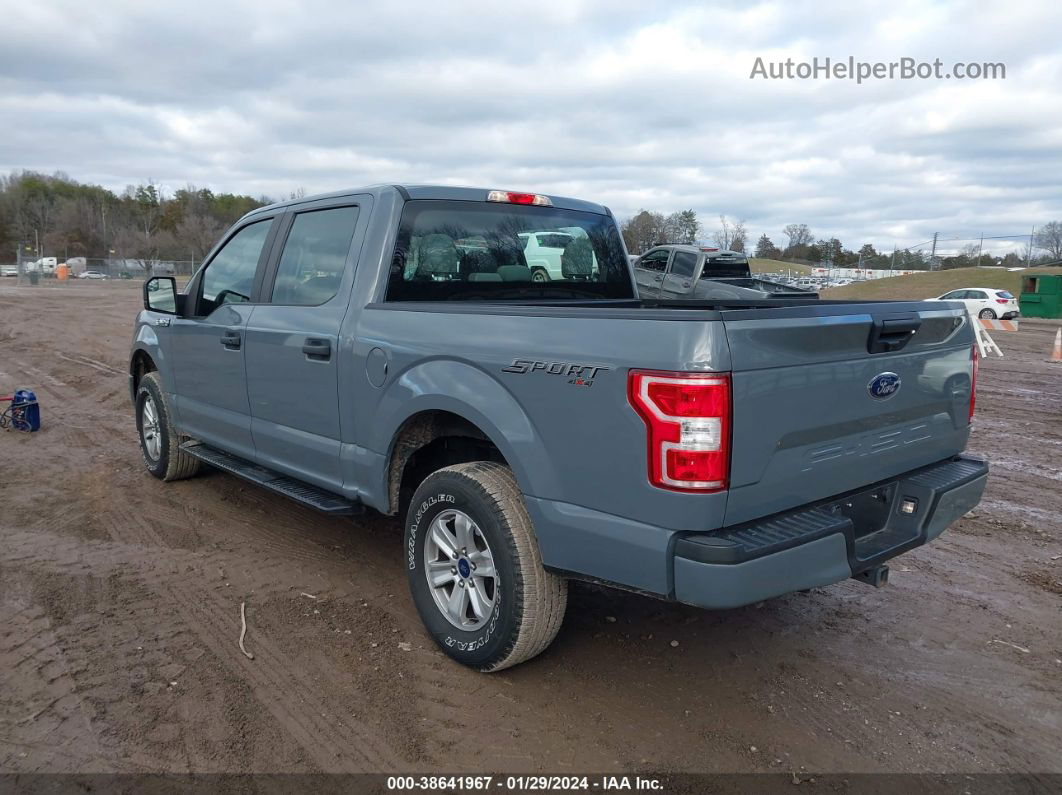 2019 Ford F-150 Xl Silver vin: 1FTEW1E57KFB26791