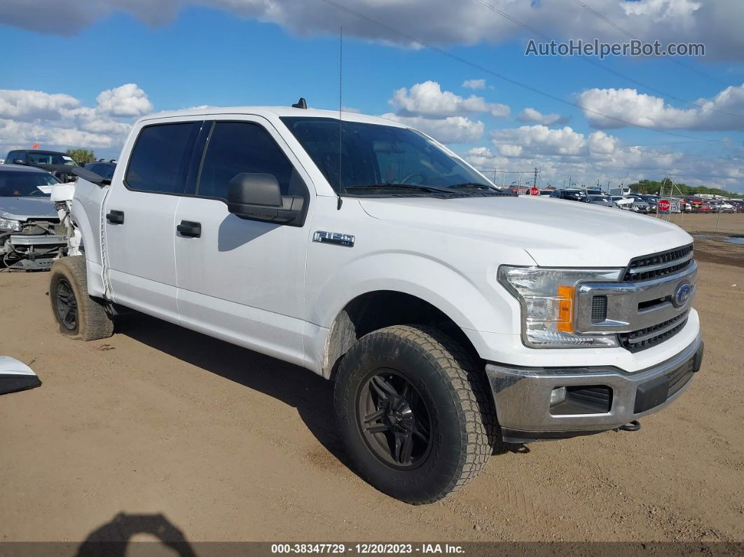 2019 Ford F-150 Xlt White vin: 1FTEW1E59KKC40430