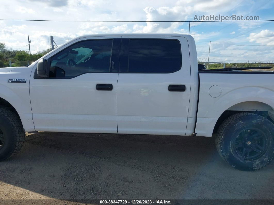 2019 Ford F-150 Xlt White vin: 1FTEW1E59KKC40430