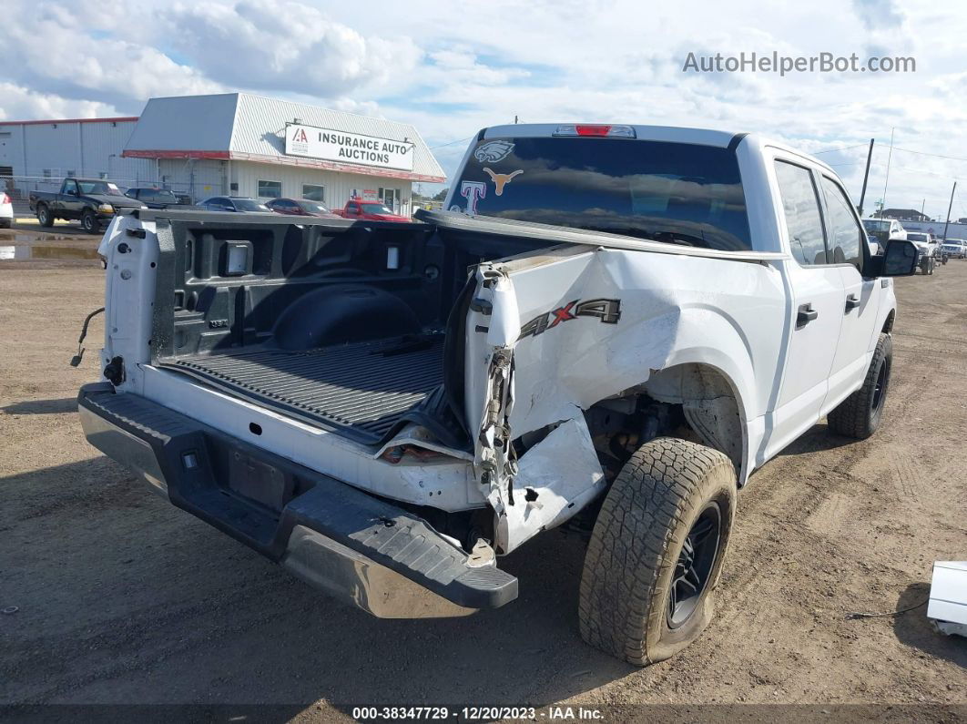 2019 Ford F-150 Xlt White vin: 1FTEW1E59KKC40430