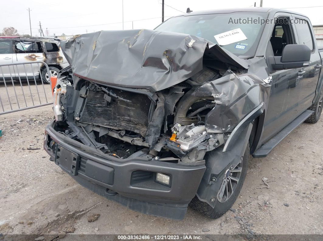 2019 Ford F-150 Xlt Gray vin: 1FTEW1E59KKE69545