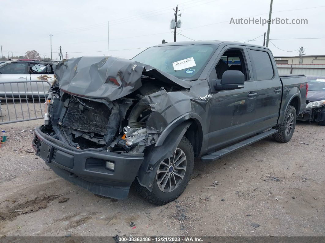 2019 Ford F-150 Xlt Gray vin: 1FTEW1E59KKE69545