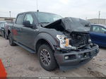 2019 Ford F-150 Xlt Gray vin: 1FTEW1E59KKE69545